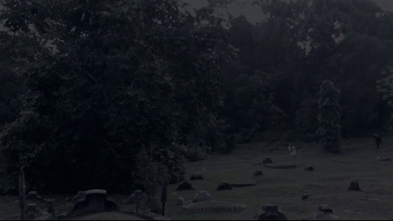 кадр из фильма Where Have You Gone, Girl?