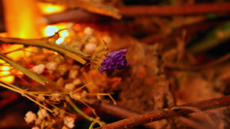 кадр из фильма A Perfectly Okay Garden