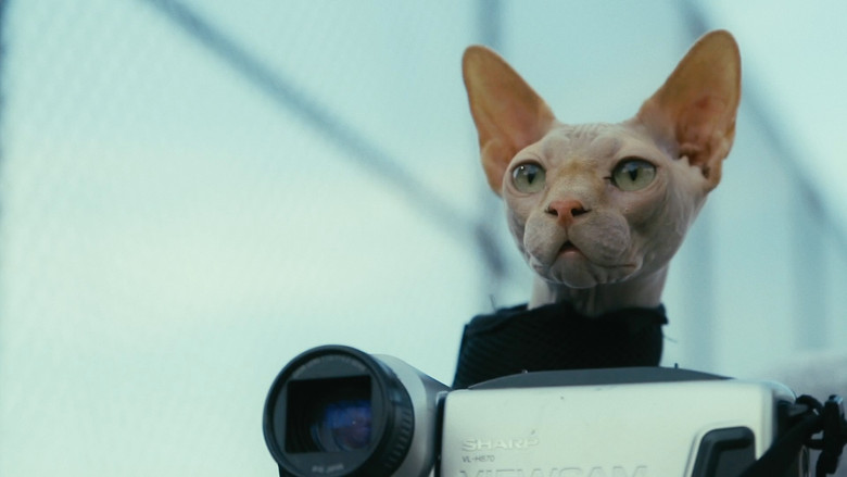 кадр из фильма Don't Come Home Before Midnight