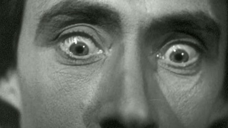 кадр из фильма Синяя борода