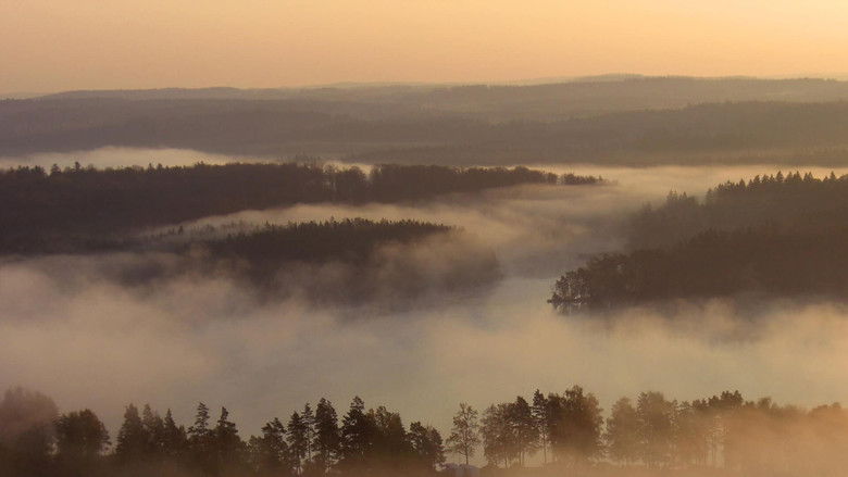 Bohemia: A Year in the Wetlands