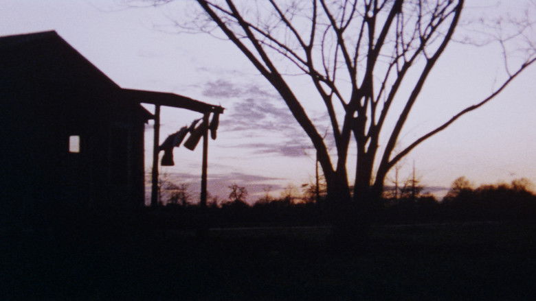 кадр из фильма The Legend of Boggy Creek