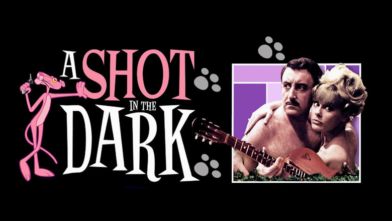 кадр из фильма Выстрел в темноте