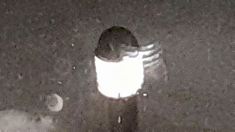 кадр из фильма From My Room