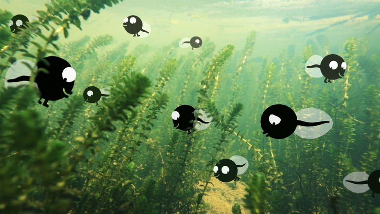 кадр из фильма Kuap