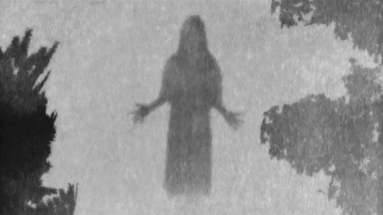 кадр из фильма Tlahuelpuchi