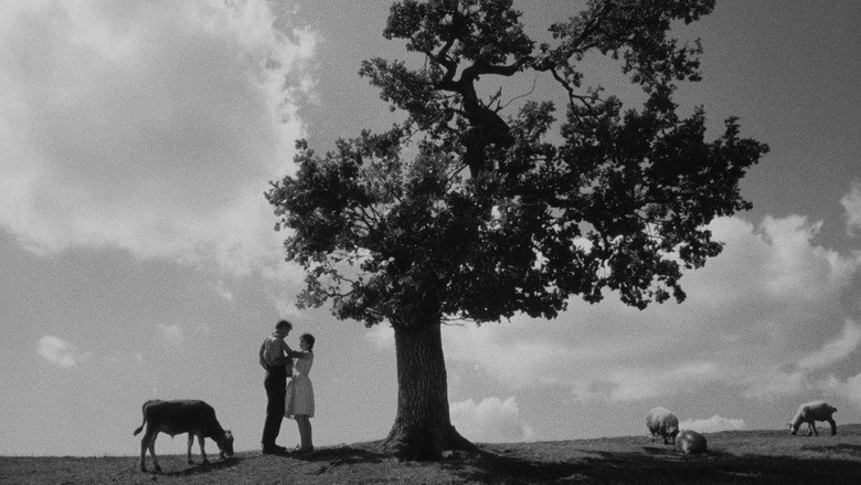 кадр из фильма Апрель