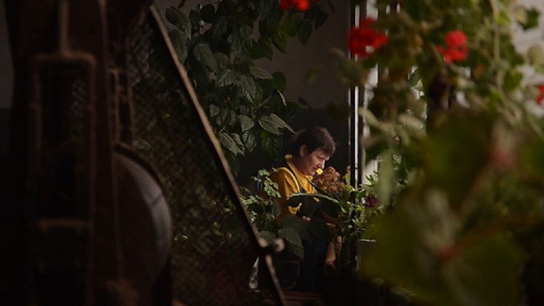 кадр из фильма Валенки