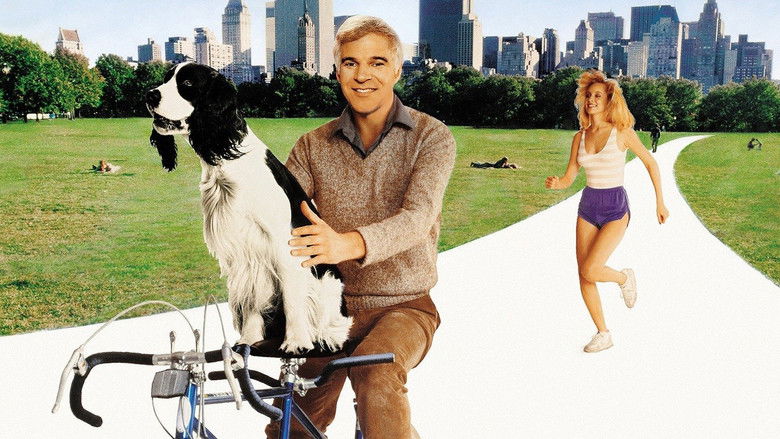 кадр из фильма Одинокий парень