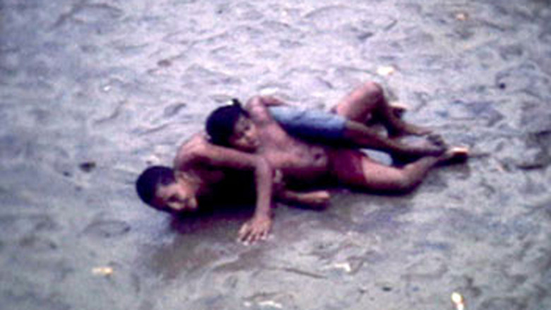 Da Janela do Meu Quarto