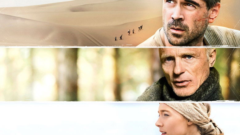 кадр из фильма Путь домой