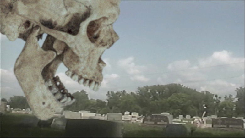 кадр из фильма Four Months Ago My Sister Went Missing and I'm Beginning to Worry She May Be Dead Or Worse