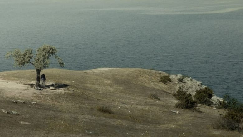 кадр из фильма دارە گەورەکە