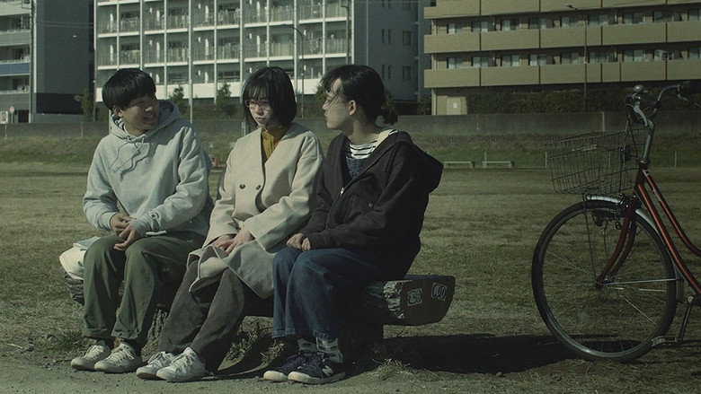 さようなら、あおいの赤いメガネンティティ