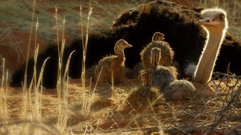 кадр из фильма Strangest Bird Alive