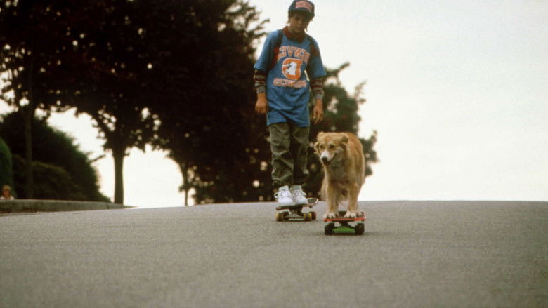 кадр из фильма Бинго