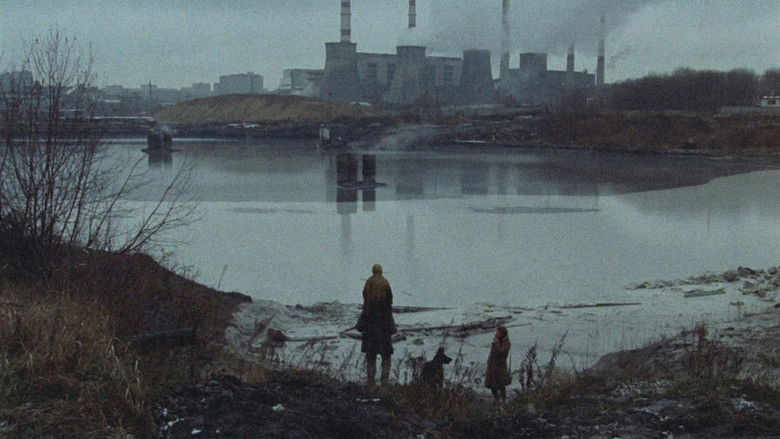 кадр из фильма Сталкер