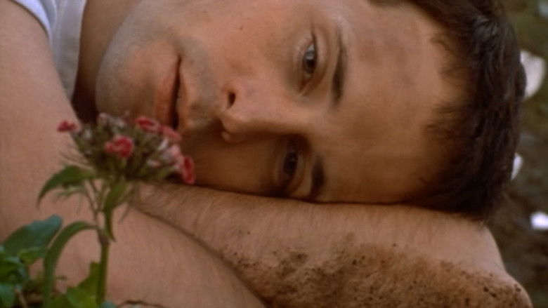 кадр из фильма The Hanging Garden