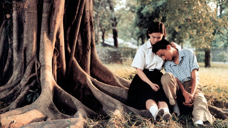 кадр из фильма Яркий летний день