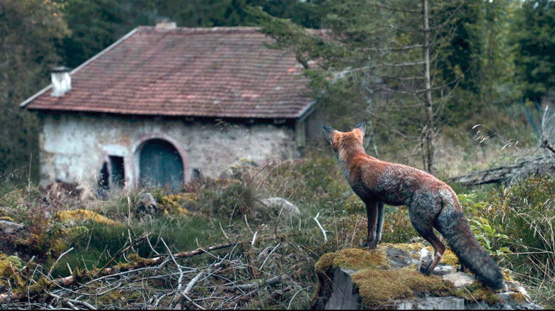 кадр из фильма Luise