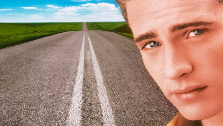 кадр из фильма Девушка из календаря