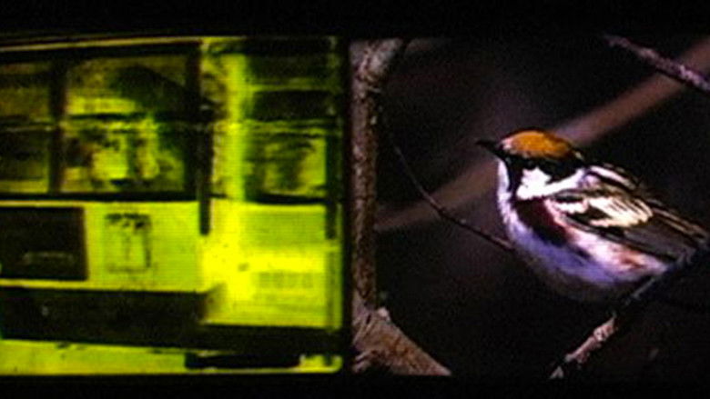 кадр из фильма Triage