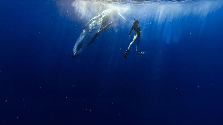 кадр из фильма Le souffle de vie