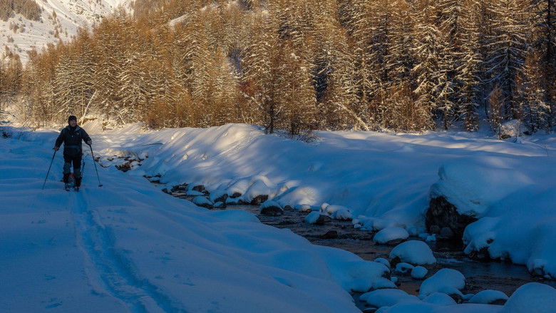 кадр из фильма Vivre avec les loups