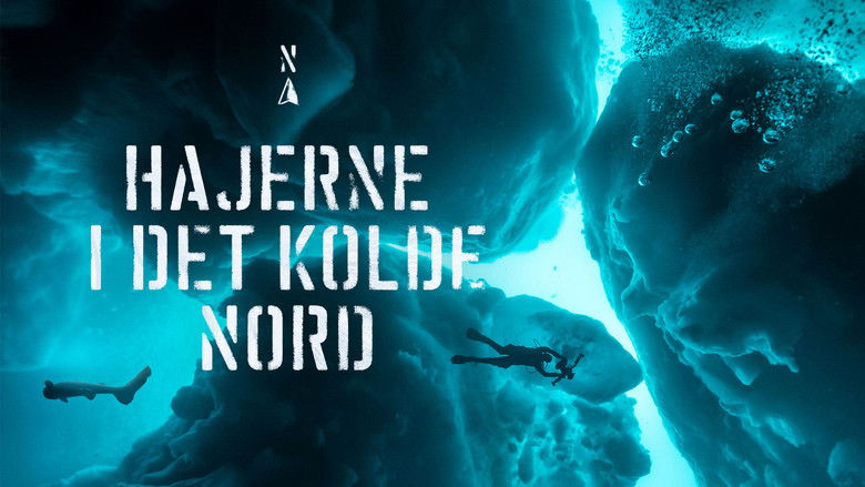 кадр из фильма Sharks of the Icy North