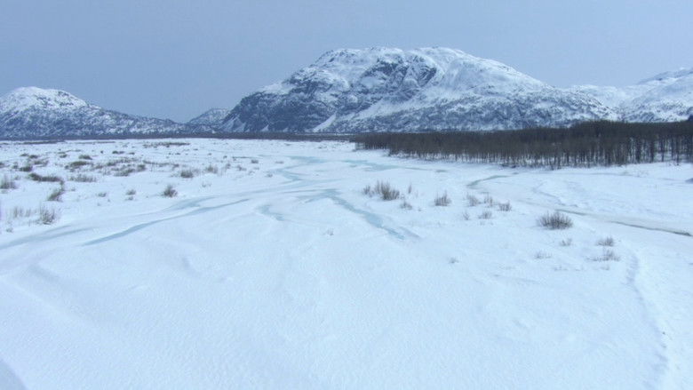 Дети снегов