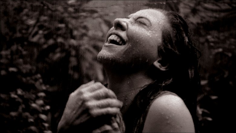 кадр из фильма Cinema Novo