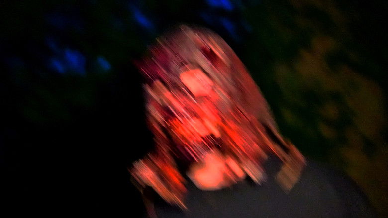 кадр из фильма Untitled Footage