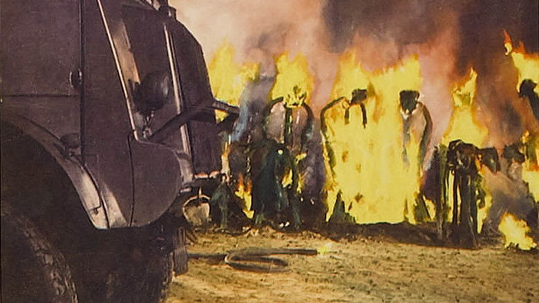 кадр из фильма День триффидов