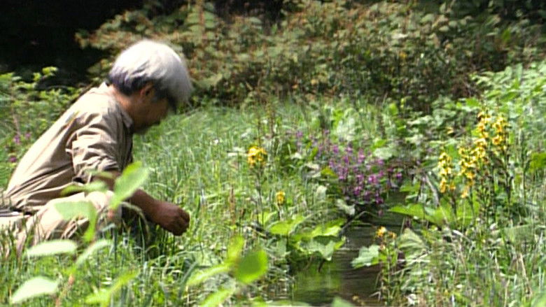 кадр из фильма Миядзаки: Душа природы