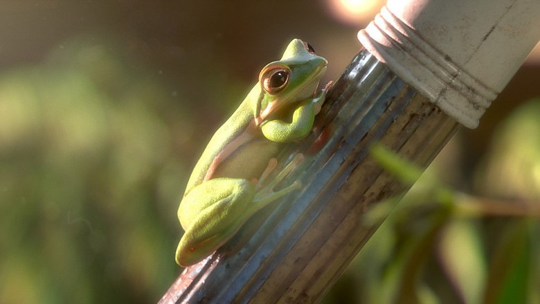 кадр из фильма Вечеринка в саду