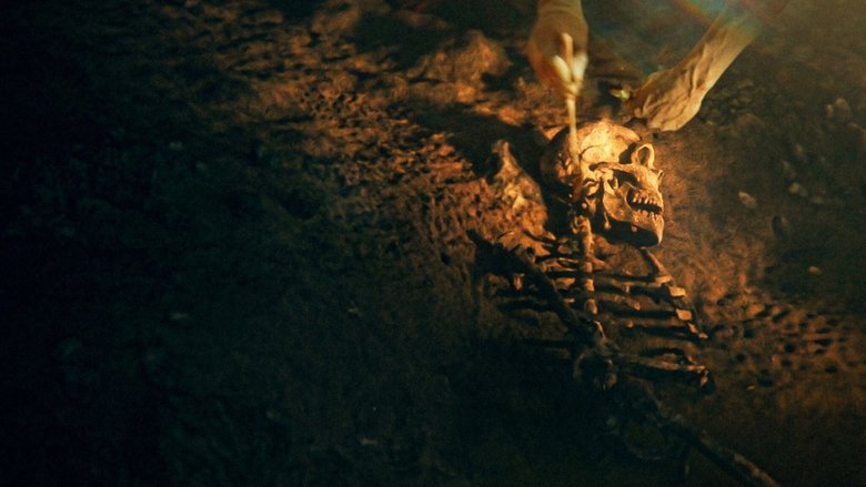 кадр из фильма Секреты неандертальцев