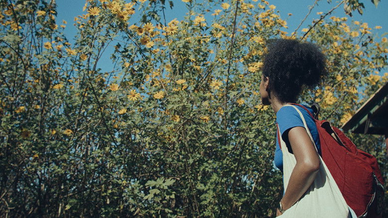 кадр из фильма Dança dos Vagalumes