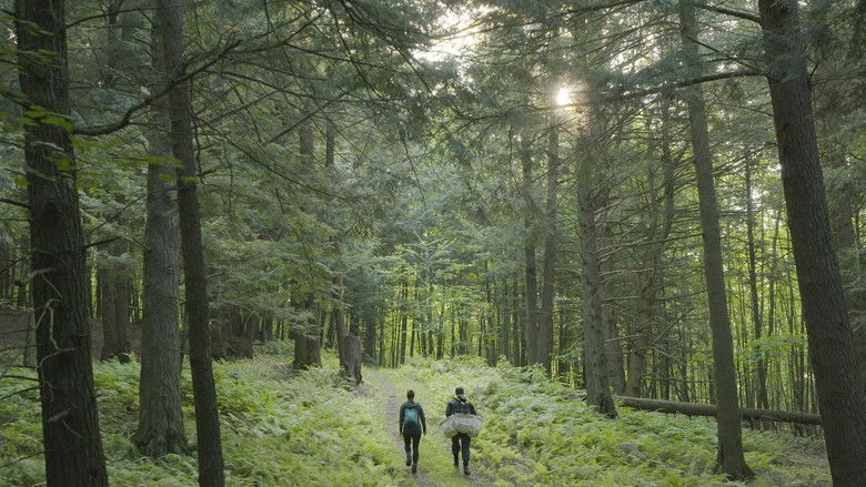 кадр из фильма Climat déréglé, santé en danger