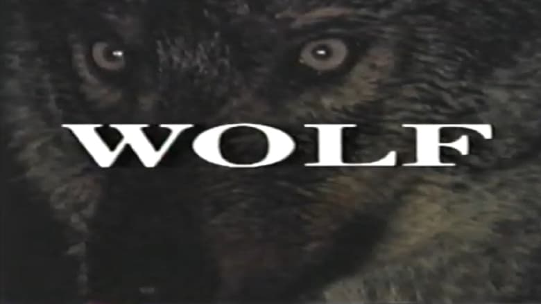 кадр из фильма Predators of the Wild: Wolf
