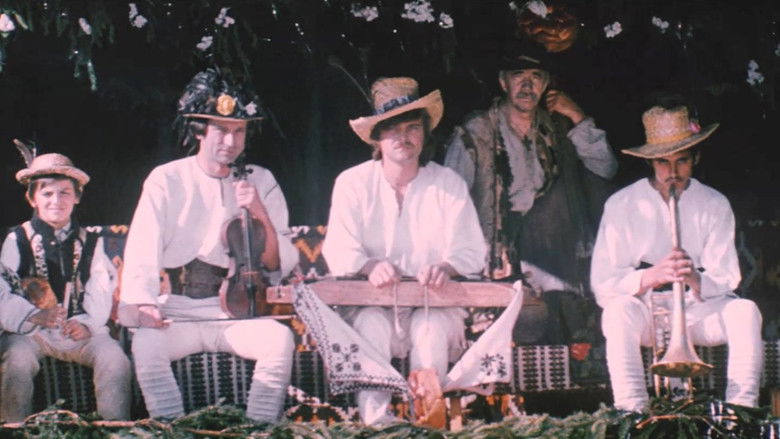 кадр из фильма Белая птица с чёрной отметиной