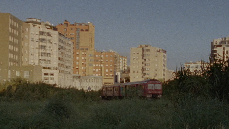 кадр из фильма Sol Menor