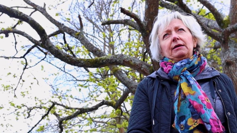 кадр из фильма Relight