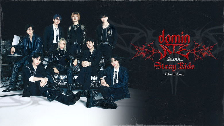 кадр из фильма Beyond Live — Stray Kids World Tour dominATE in SEOUL