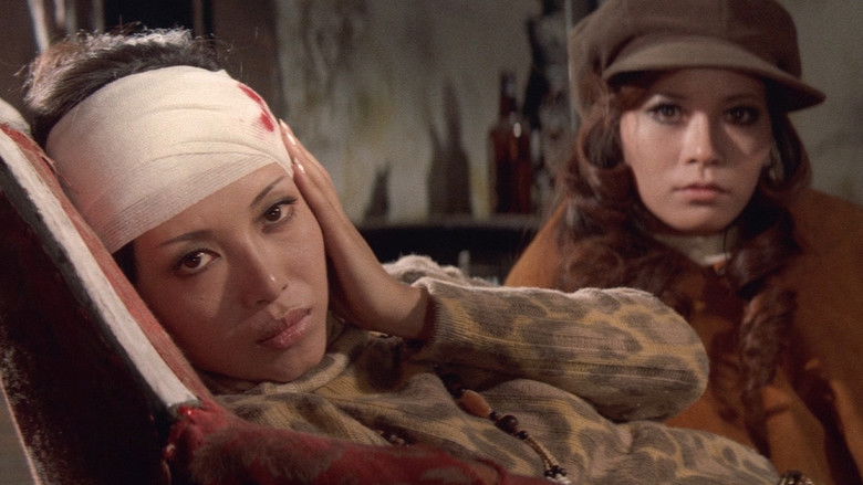 кадр из фильма 野良猫ロック 暴走集団'71