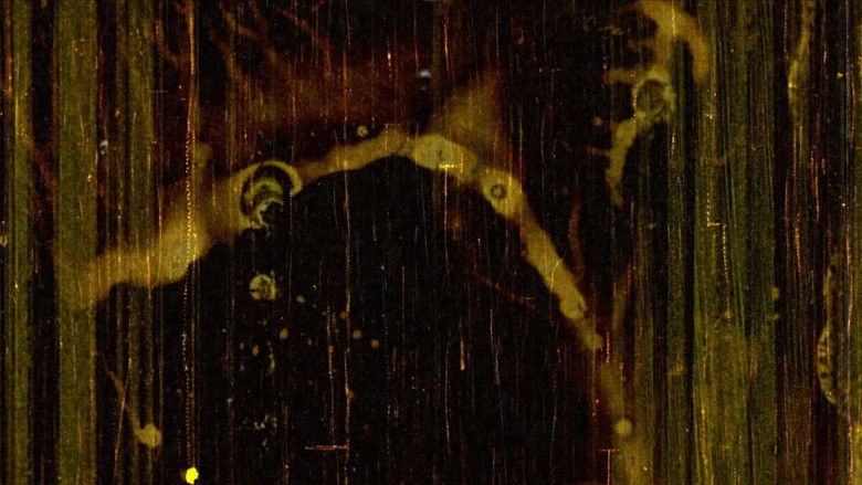 кадр из фильма 光の絵巻