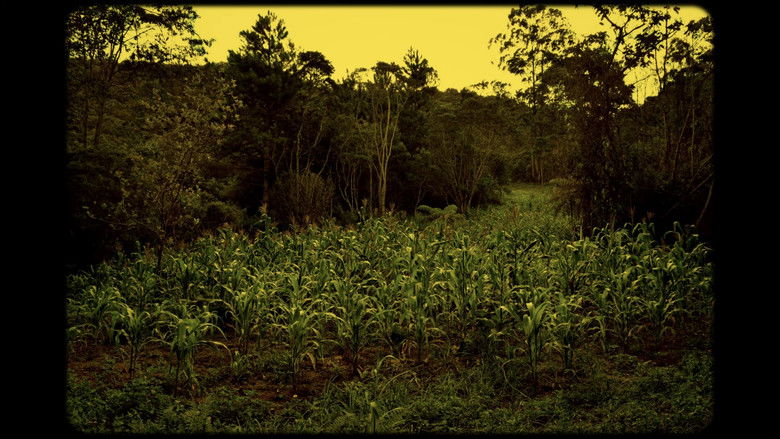 кадр из фильма Onírico