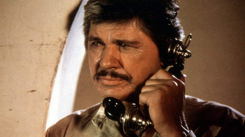 кадр из фильма Любовь и пули