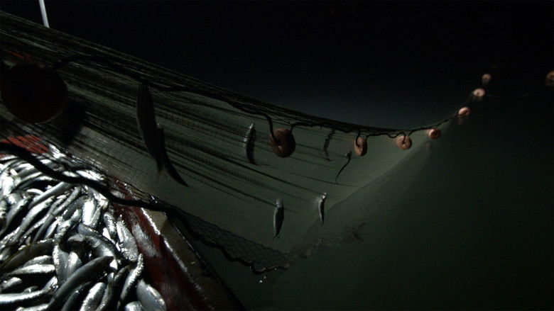 кадр из фильма Tatuado nos ollos levamos o pouso