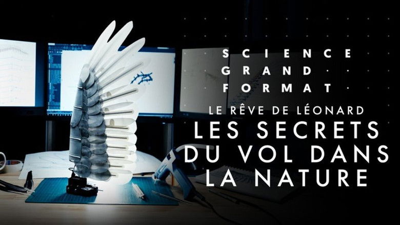 кадр из фильма Le rêve de Léonard : Les secrets du vol dans la nature