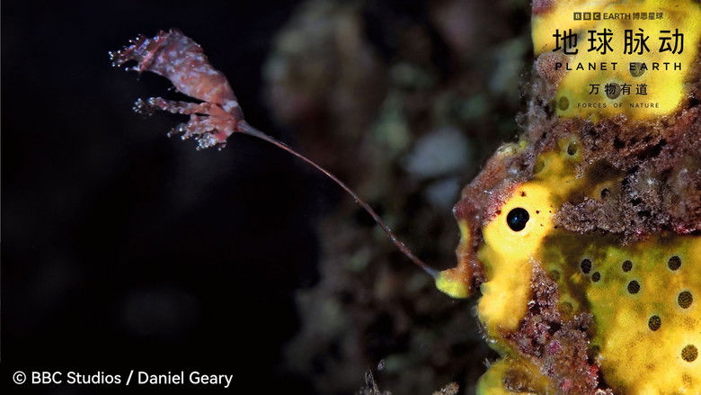 кадр из фильма Planet Earth: Forces of Nature